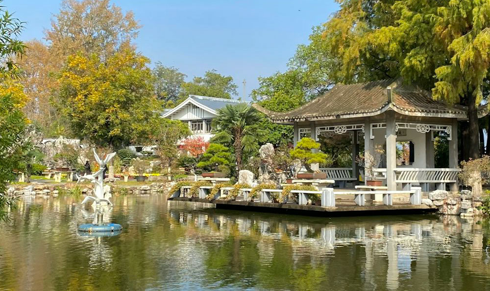 千岛湖一日游：杭州免费十大景区的魅力之旅