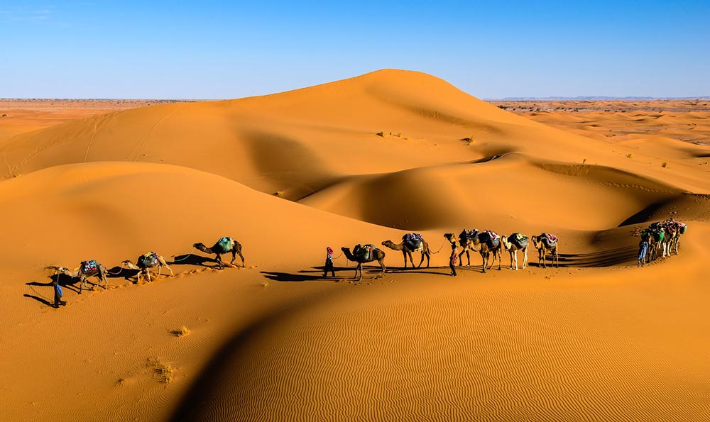 《电子车票生成 P 图软件:背后的真相与影响》