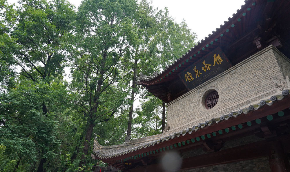 河西万达影城（南京万达广场）：观影之旅的璀璨之地