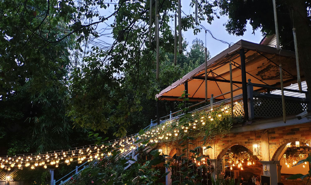 《新编西游记之树精》