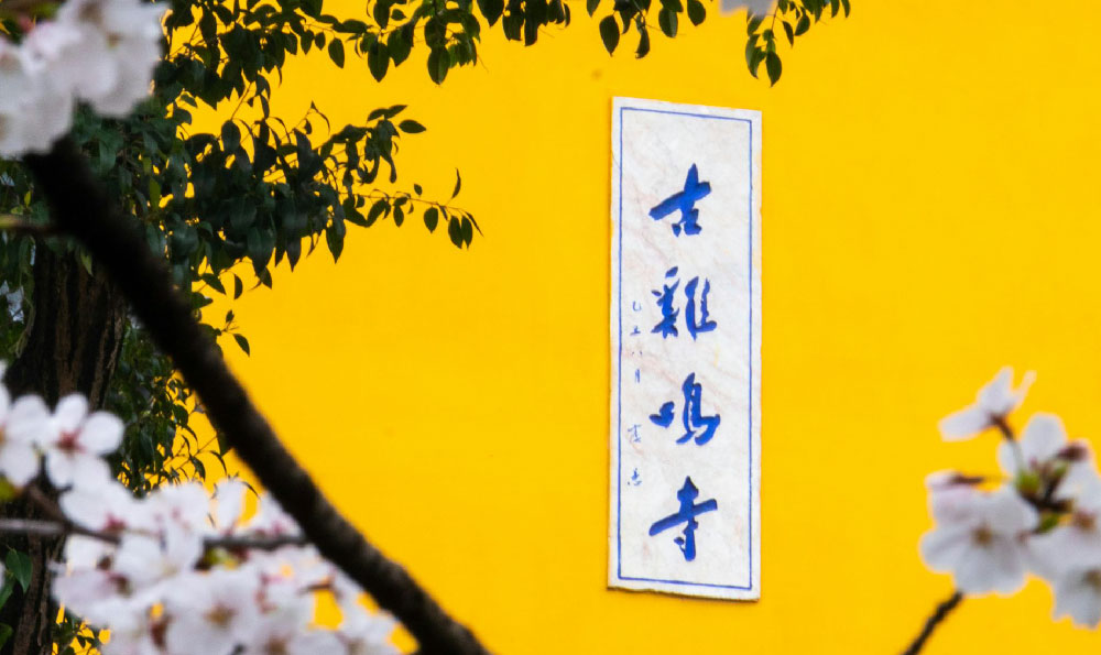 上海五星酒店与迪拜八星级酒店：奢华之旅的对比与启示