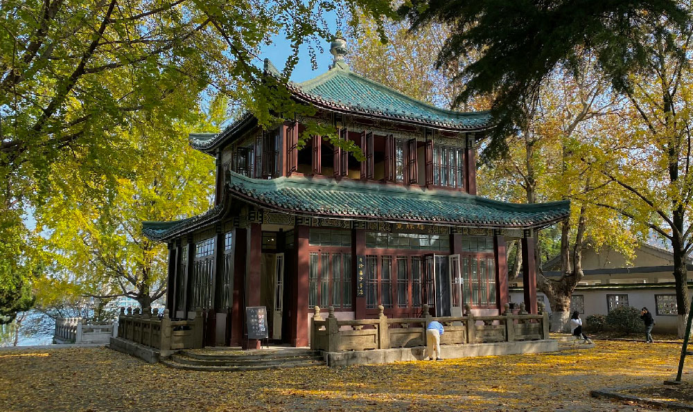 云南旅游乱象（海南旅游指南）