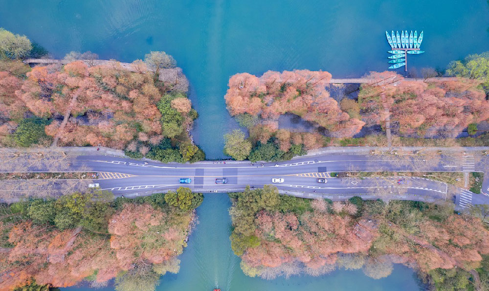 上海五一旅游（上海景点排名前十的有哪些）