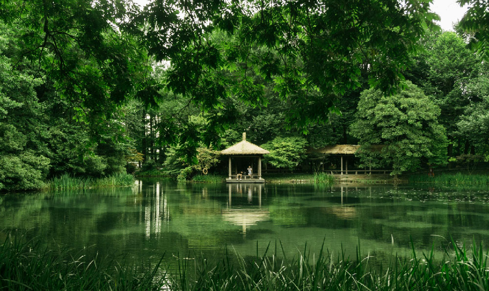 华侨城一日游（东部华侨城茶溪谷最新消息）