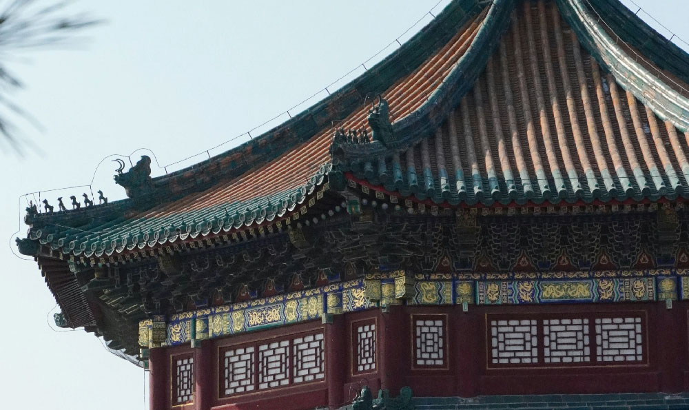 《南溪欢乐田园:打造乡村旅游新标杆》