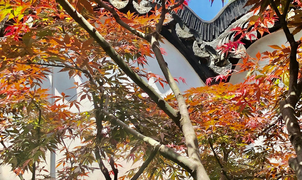 承德避暑山庄：皇家园林的避暑胜地与住宿之选