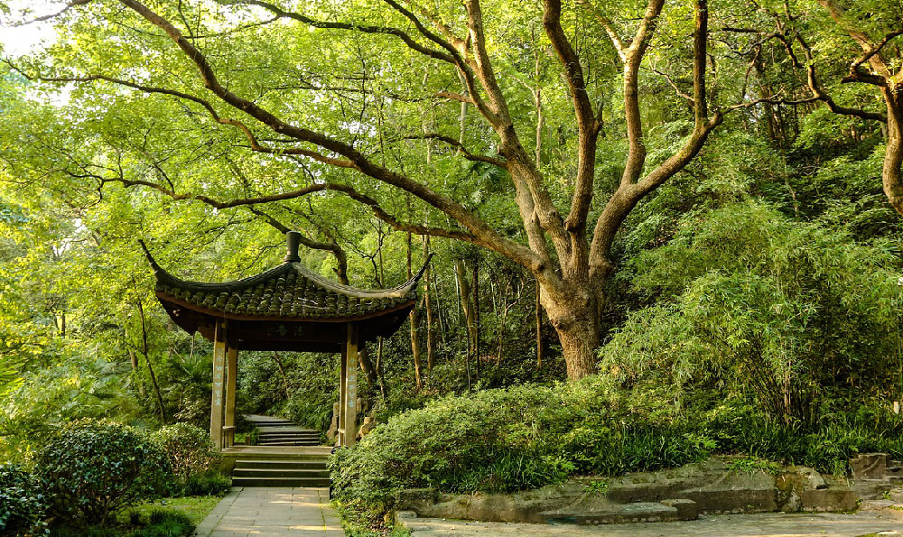 《去北京机票怎么买最便宜》