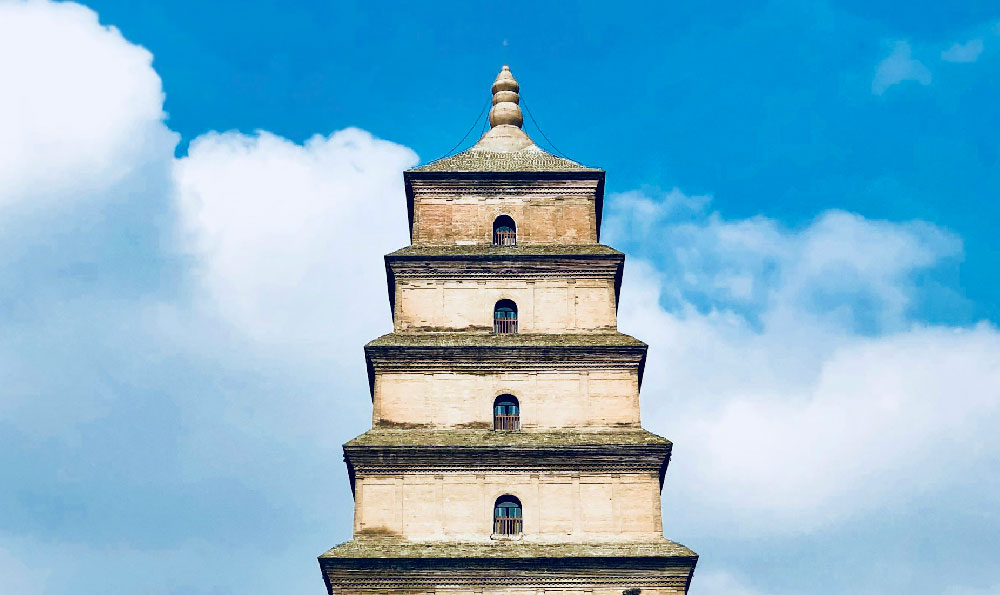 上海浦东交通银行（交通银行编制属于什么编制）