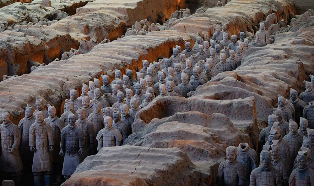 《卡罗莱纳黑豹:NFL 赛场上的璀璨之星》