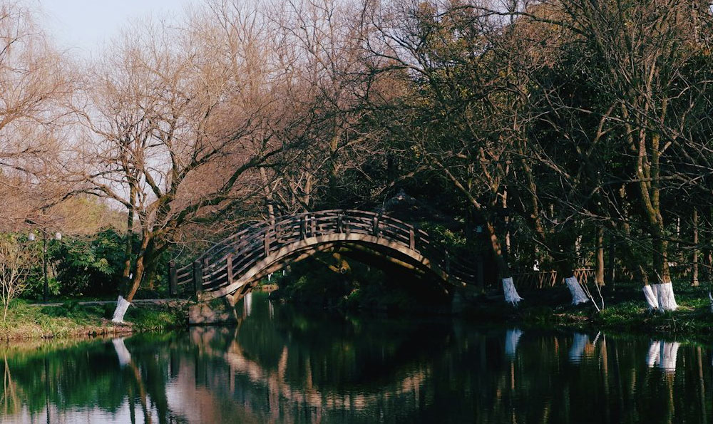 # 《探寻莲花山的奇妙景点》