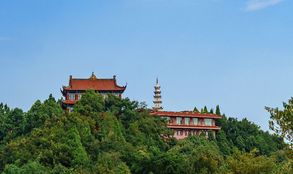 峨眉山美食(乐山美食排行榜前十名) 峨眉山美食(乐山美食排行榜前十名)