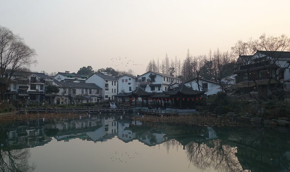 攀枝花苏铁（攀枝花苏铁和一般苏铁的区别）