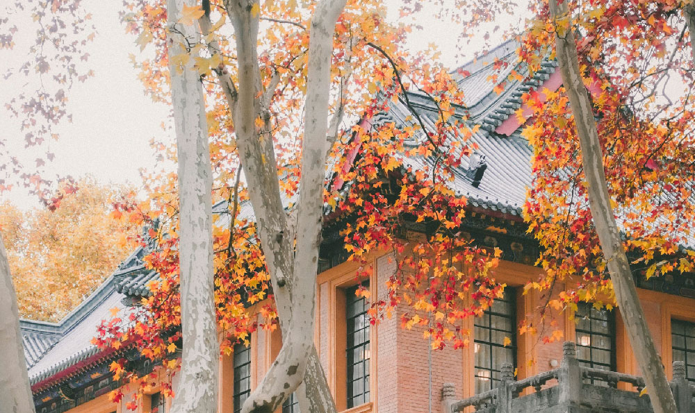 《浙江省最好的 10 所大学:探索高等教育的璀璨之星》