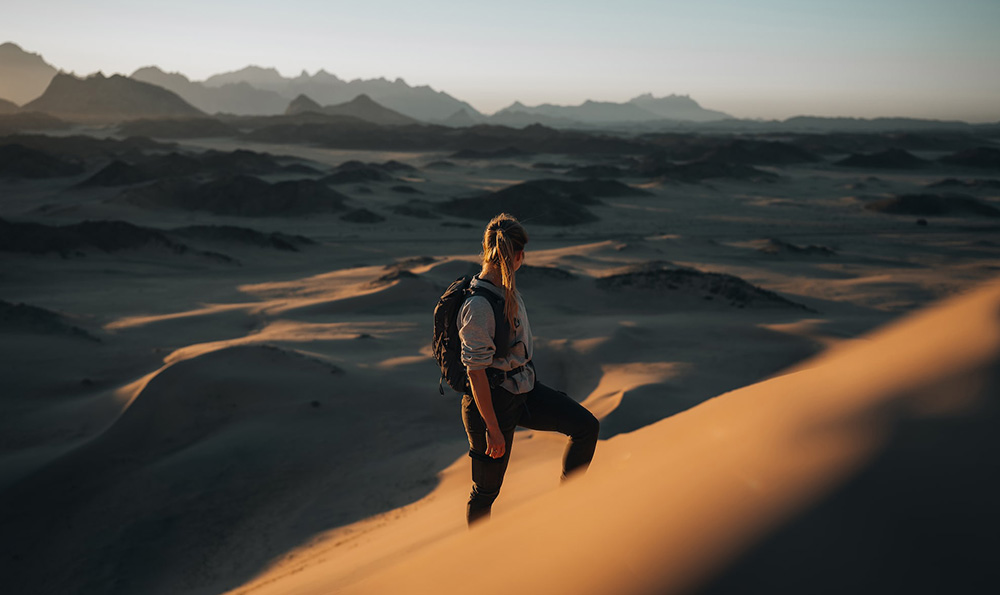 广州海珠湖公园：广州一日游的绝佳去处