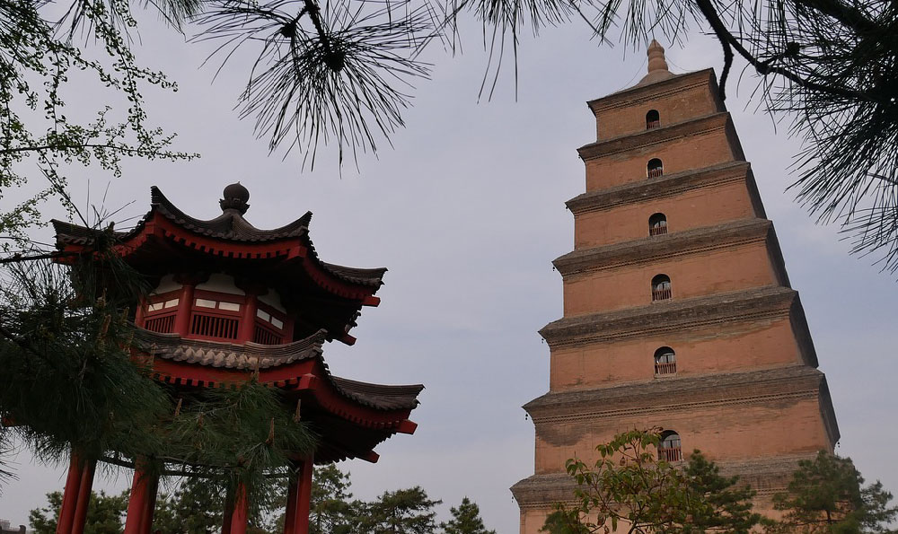 深圳大沙河公园（深圳市大梅沙要门票吗）