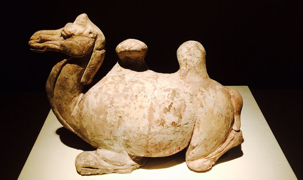 广州沃尔玛（广州沃尔玛超市地址查询）