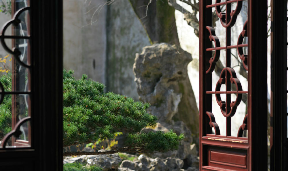 《小雅 SPA 精油:唤醒肌肤的自然之美》