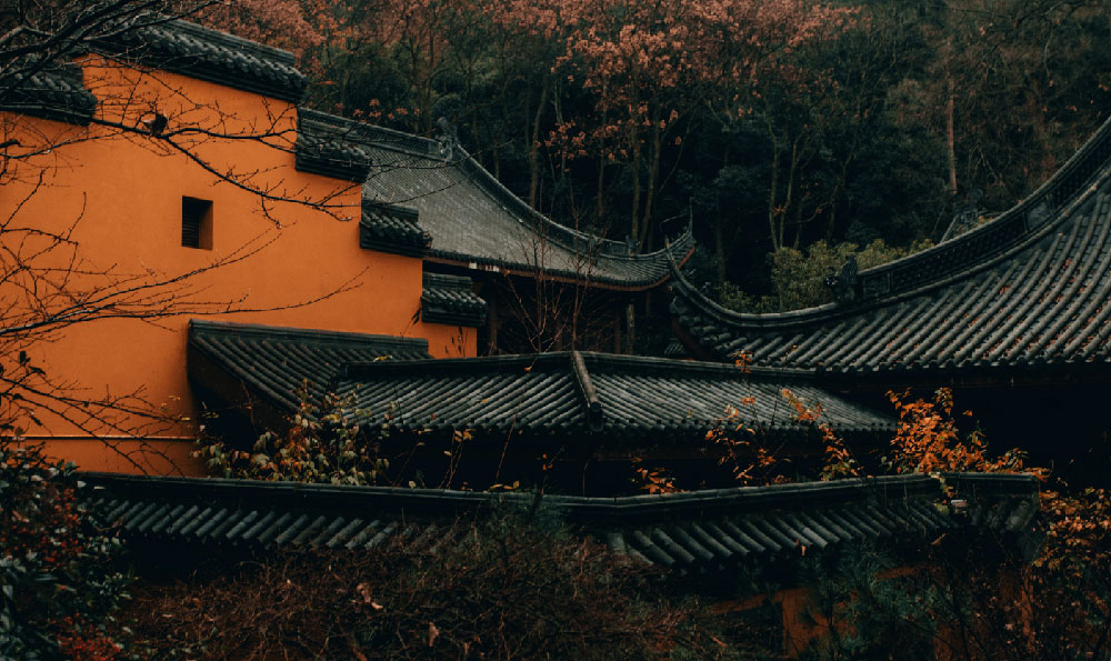 《鲁信泺源大街店今日放映:一场电影的魅力之旅》