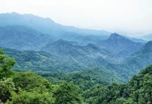 青城山在什么地方 青城山在哪