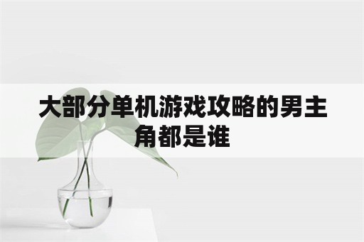 大部分单机游戏攻略的男主角都是谁