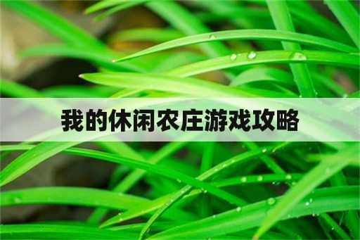 我的休闲农庄游戏攻略