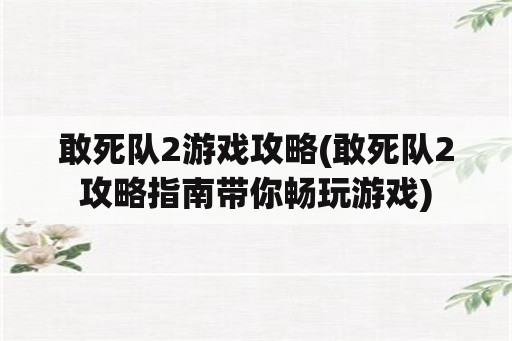 敢死队2游戏攻略(敢死队2攻略指南带你畅玩游戏)