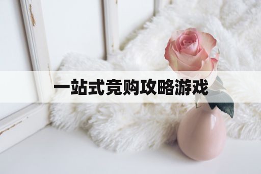 一站式竞购攻略游戏