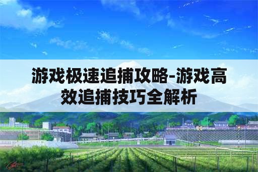 游戏极速追捕攻略-游戏高效追捕技巧全解析