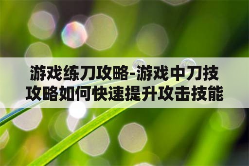 游戏练刀攻略-游戏中刀技攻略如何快速提升攻击技能