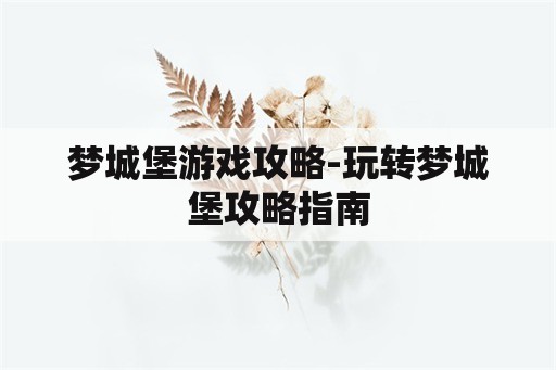 梦城堡游戏攻略-玩转梦城堡攻略指南