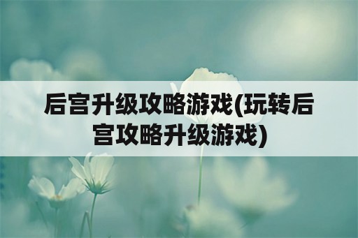 后宫升级攻略游戏(玩转后宫攻略升级游戏)