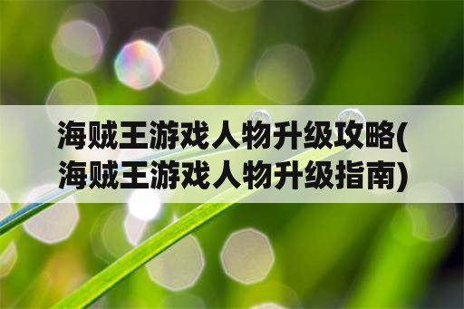 海贼王游戏人物升级攻略(海贼王游戏人物升级指南)