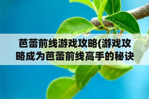 芭蕾前线游戏攻略(游戏攻略成为芭蕾前线高手的秘诀)