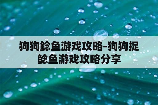 狗狗鲶鱼游戏攻略-狗狗捉鲶鱼游戏攻略分享