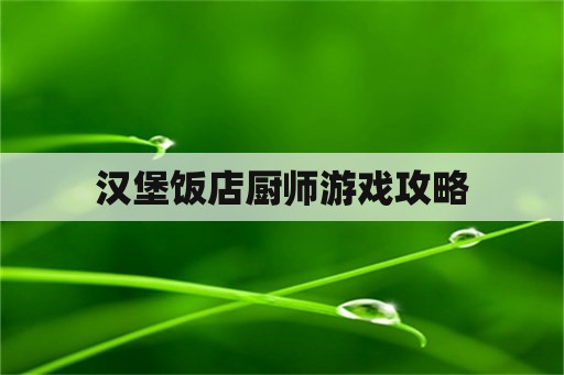 汉堡饭店厨师游戏攻略