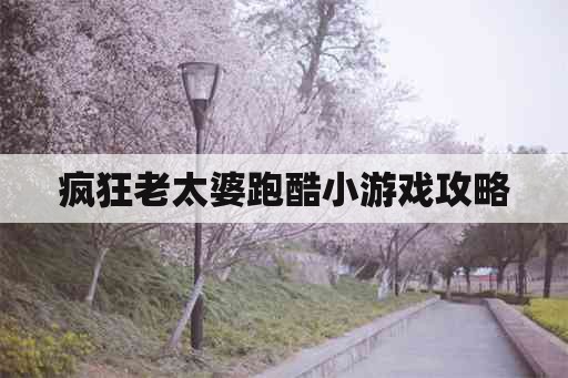 疯狂老太婆跑酷小游戏攻略