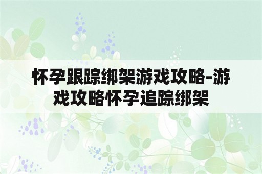 怀孕跟踪绑架游戏攻略-游戏攻略怀孕追踪绑架