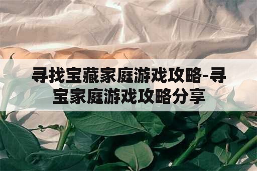 寻找宝藏家庭游戏攻略-寻宝家庭游戏攻略分享