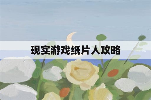 现实游戏纸片人攻略