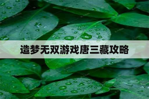 造梦无双游戏唐三藏攻略