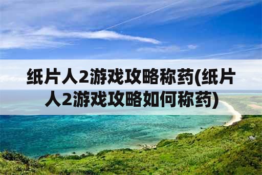 纸片人2游戏攻略称药(纸片人2游戏攻略如何称药)