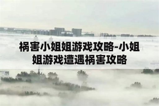 祸害小姐姐游戏攻略-小姐姐游戏遭遇祸害攻略