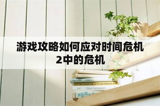 游戏攻略如何应对时间危机2中的危机