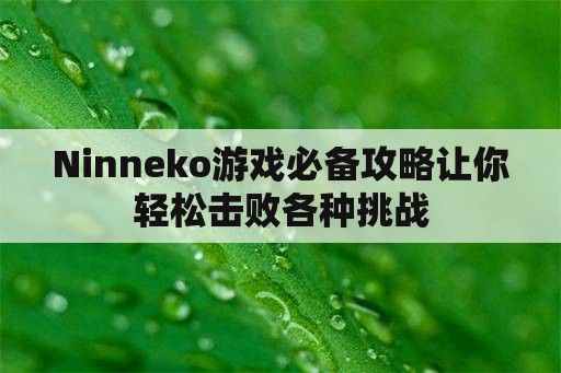 Ninneko游戏必备攻略让你轻松击败各种挑战