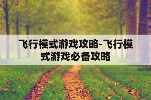 飞行模式游戏攻略-飞行模式游戏必备攻略