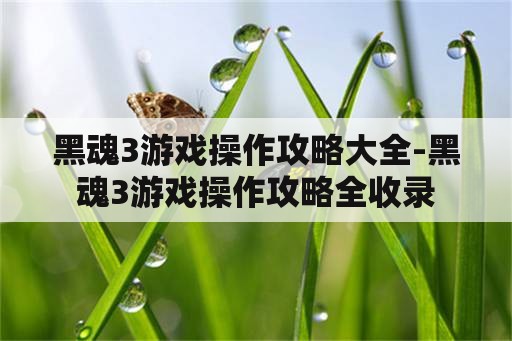 黑魂3游戏操作攻略大全-黑魂3游戏操作攻略全收录