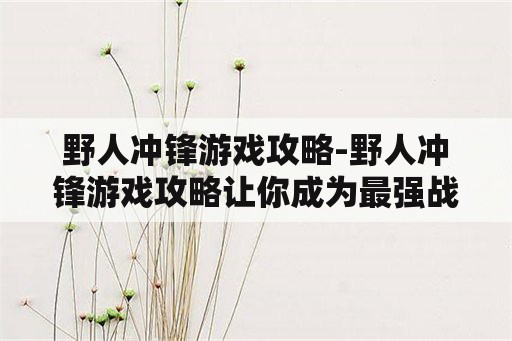 野人冲锋游戏攻略-野人冲锋游戏攻略让你成为最强战士