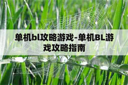 单机bl攻略游戏-单机BL游戏攻略指南