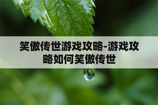 笑傲传世游戏攻略-游戏攻略如何笑傲传世