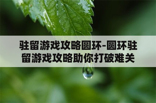 驻留游戏攻略圆环-圆环驻留游戏攻略助你打破难关